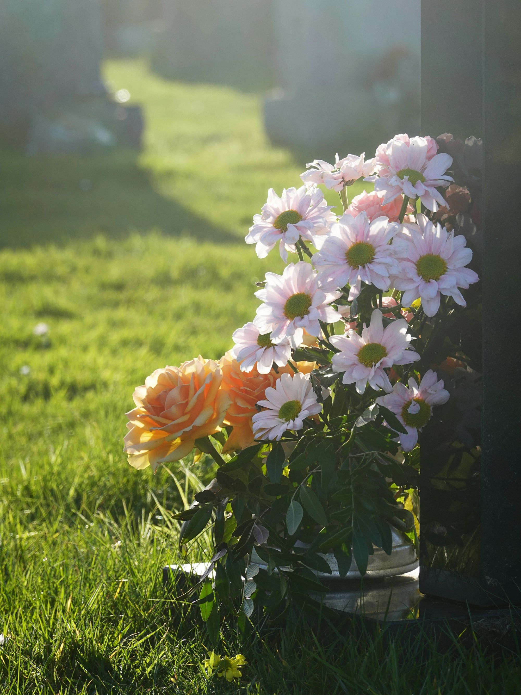 Blumen im warmen Abendlicht